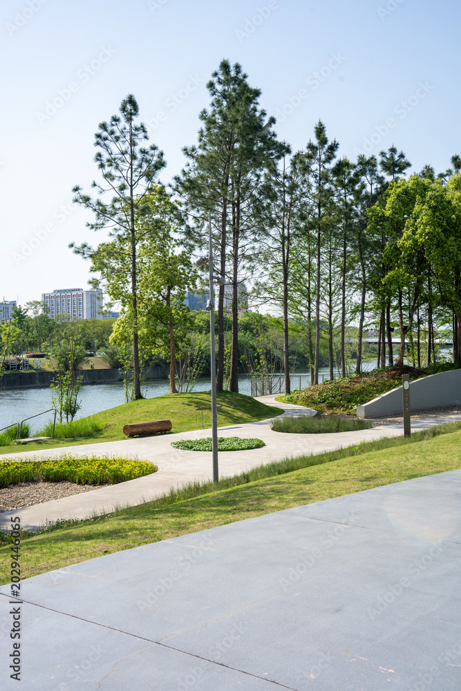 Fototapeta premium scenic park pathway with tall pine trees and green lawn by the lake