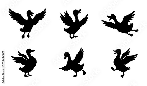Tableau sur toile Six Black Duck Silhouettes, Vector Graphics Set: Flying, Walking, and Waddling P