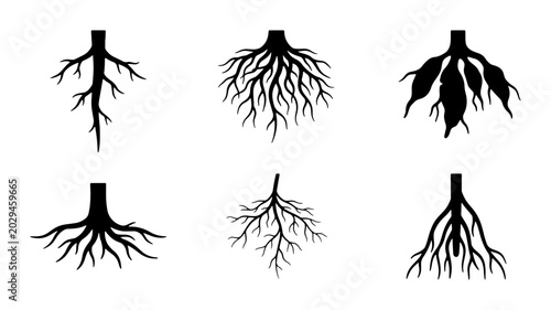 Foto Diverse Root System Silhouettes, Plant Biology Icons, Organic Growth Structures,