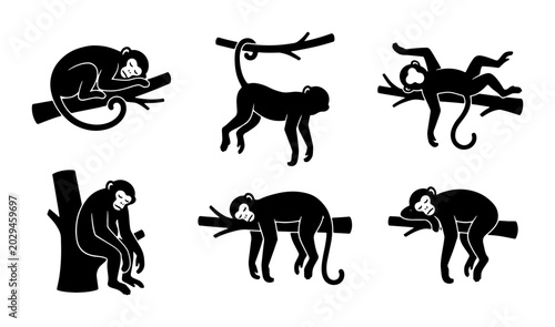 Photography Monkeys on Branches Vector Icons, Primate Silhouettes, Jungle Animals Collection