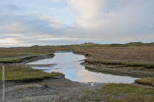 Canvas-taulu creek in a salt marsh on the flemish coast in Het Zwin nature reserve, Knokke, F