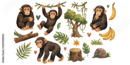 Photography watercolor chimpanzees collection