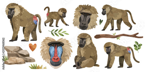 Canvas Print watercolor baboon collection
