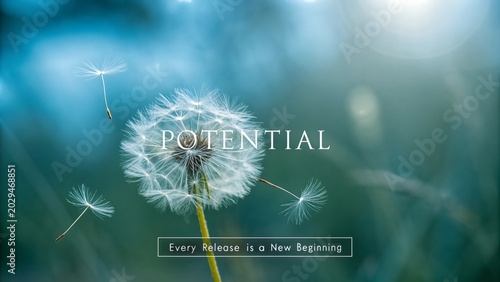 A delicate dandelion releasing seeds in a softly lit, ethereal environment, symbolizing potential and new beginnings.