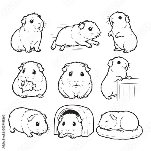 Foto Cute Guinea Pig Cartoon Character Collection with Different Poses Line Art