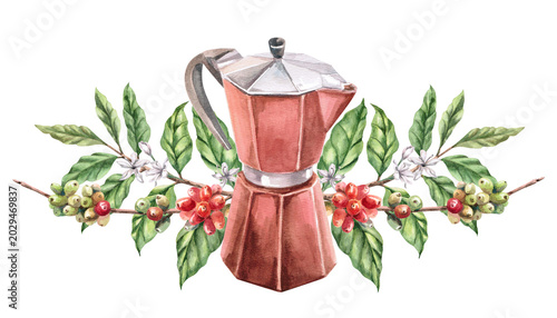 Obraz na plátně A geyser coffee maker and branches of ripening coffee