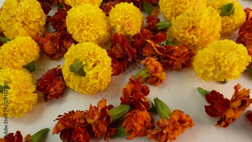 Marigold flowers on white table. 