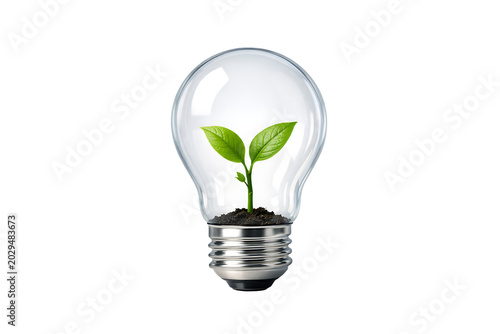 Green Plant Growing Inside Transparent Light Bulb Isolated on Transparent Background Symbolizing Renewable Energy and Sustainable Innovation Concept