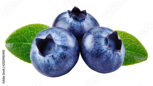 Three ripe blueberries with green leaves