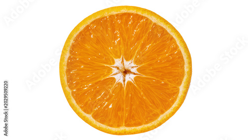 Photos Orange slice with vibrant segments and white pith center