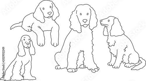 Canvastavla English Cocker Spaniel line art illustration floppy ear hunting dog doodle elega