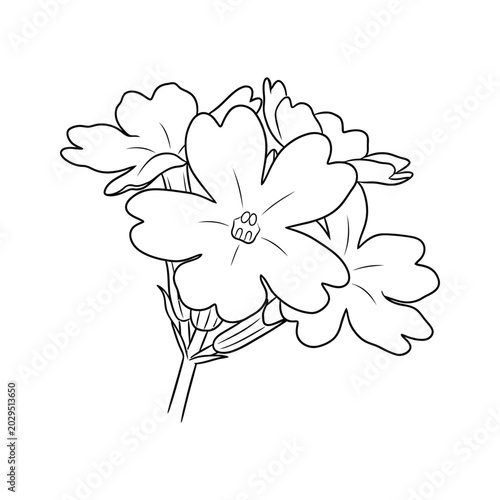 Flower Blossom Line Art Floral Graphic Design