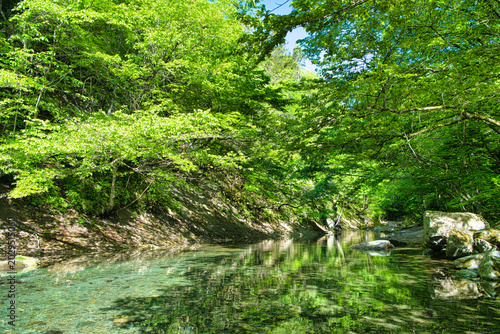 栃木県那須塩原市　木の俣園地を流れる木の俣川
