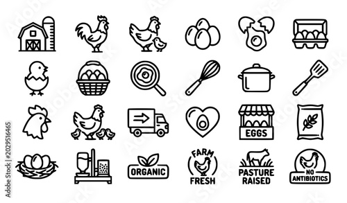 Modern poultry and egg line icons flat vector illustration isolated organic food concept
