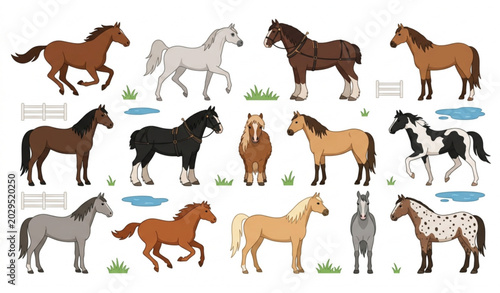 Tableau sur toile Flat vector illustration set of horses in different breeds and colors on white b