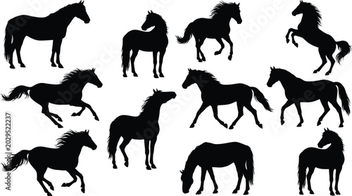 Tableau sur toile Collection of black horse silhouettes showing various dynamic poses of standing,