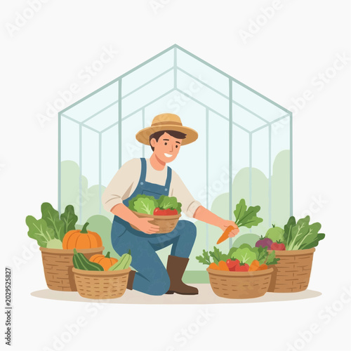 A cheerful farmer, with hat and overalls, harvests fresh vegetables into baskets near his greenhouse.