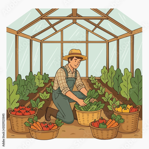 A diligent male gardener, wearing a straw hat, harvests fresh green vegetables inside a sunlit greenhouse, surrounded by vibrant produce baskets.