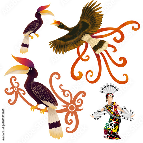 Bild auf Leinwand The Buceros rhinoceros, or hornbill, is a very iconic bird with a large horn above its beak