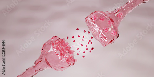 Synaptic signaling through the release of neurotransmitters across the synaptic cleft between two neurons. Photo stock