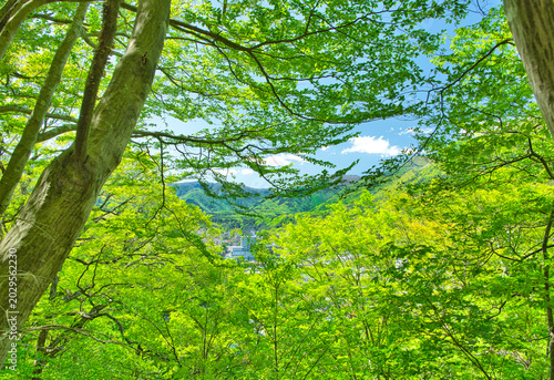 Tableau sur toile 栃木県那須塩原市　自然豊かな塩原温泉の風景
