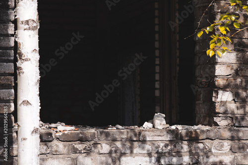 Foto A curious cat sits by the window of a brick building, gazing out into the unknow