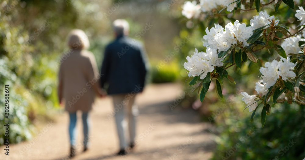 Obraz premium Elderly couple walking in garden path