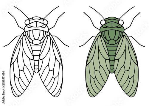 Photos Cicada icon illustration in line art and colored design, for coloring page