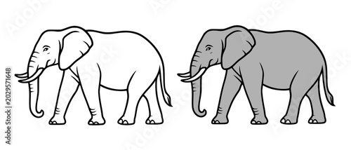 Photos Elephant icon illustration in line art and colored design, for coloring page