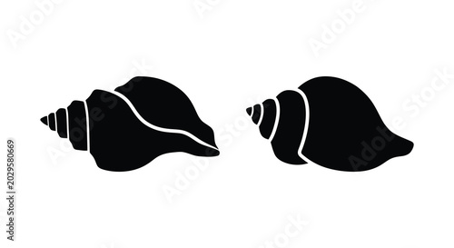 Fotografija Two black sea shells in silhouette detailed marine gastropod mollusks on a white