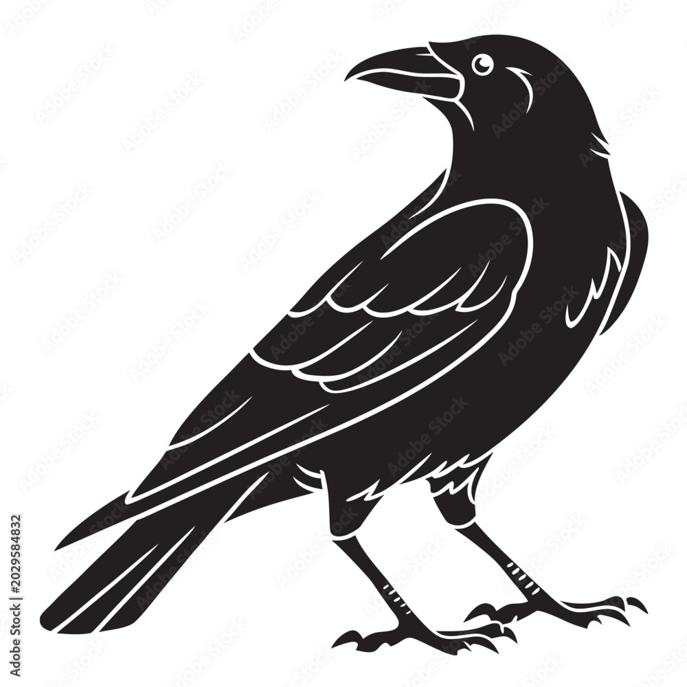 Fototapeta premium Raven Bird Black Silhouette Vector Art