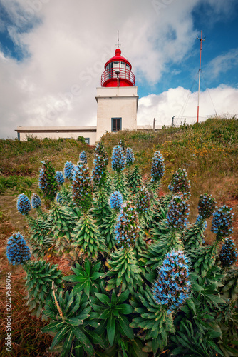 Ponta do Pargo lighthouse with blooming Pride of Madeira flowers in the foreground under a cloudy sky Portugal