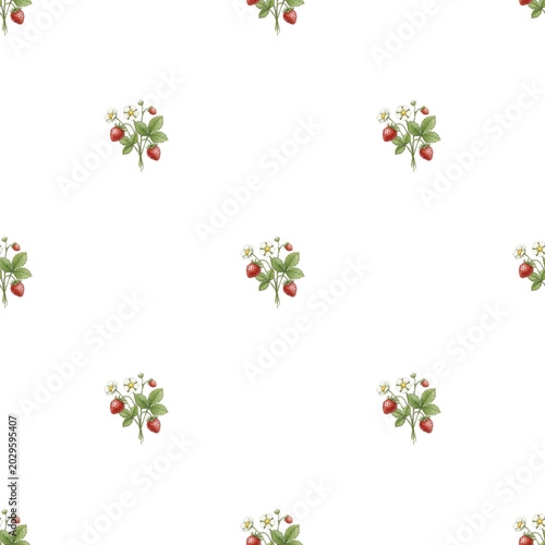 Wild strawberry seamless pattern on white background. Botanical vector illust...