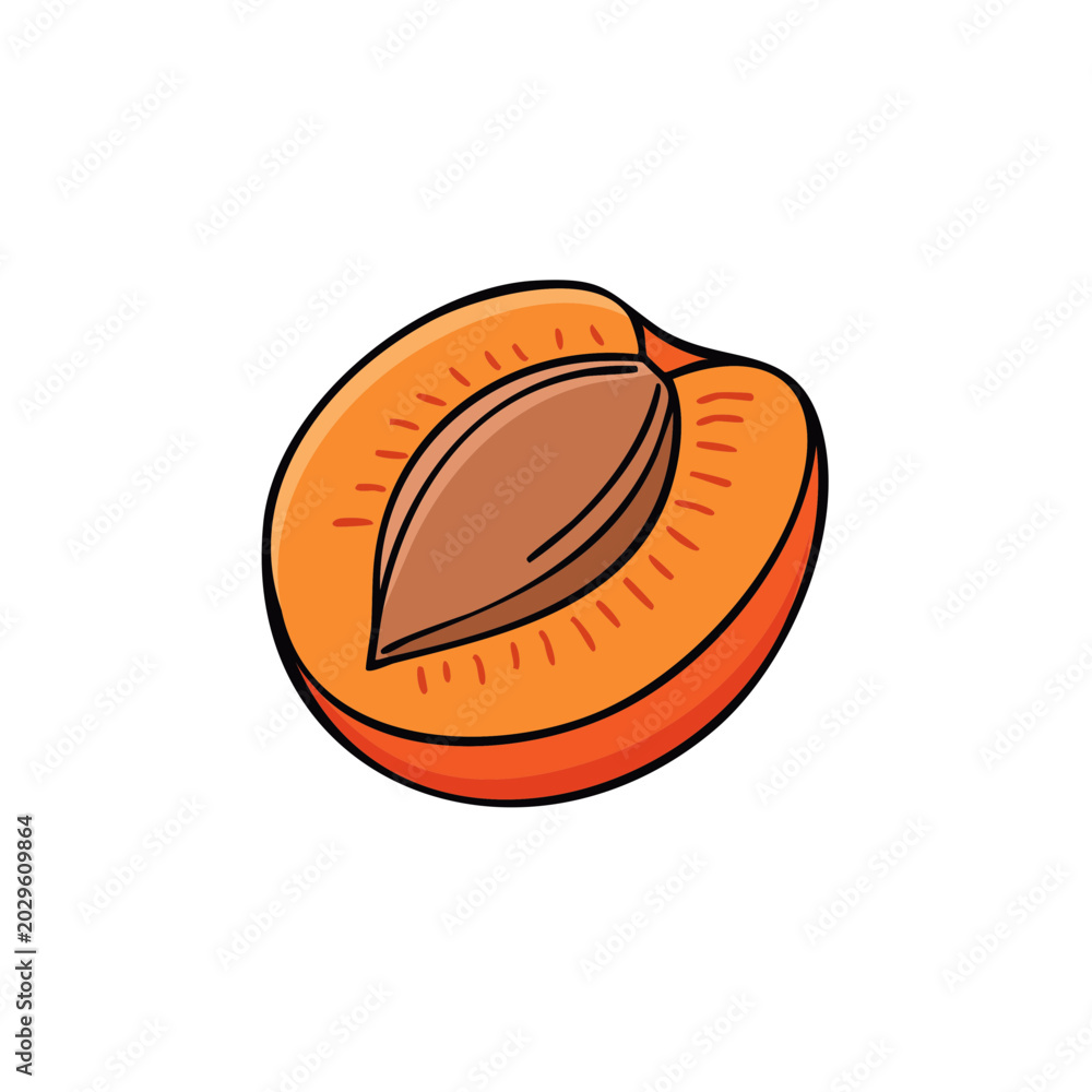 Obraz premium Orange apricot half with seed shown inside fruit illustration