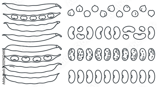 Photos Legumes and beans set isolated on white background flat illustration