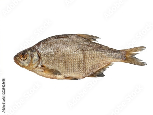 Single dried fish isolated on white background studio lighting 1
