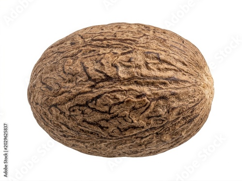 Single whole nutmeg on a pure white background spice brown beige