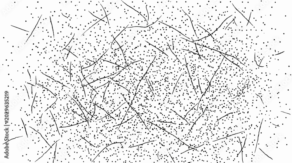 Fototapeta premium Abstract chaotic line and dot pattern background, random scribble texture, modern minimal vector design
