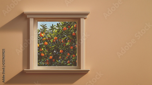 Orange orchard view outside the isolated window On a smooth cream wall with a smooth background.