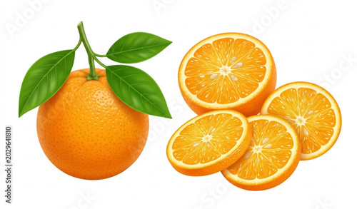 Fotografía Orange whole and slices vector illustration with fresh citrus fruit isolated des