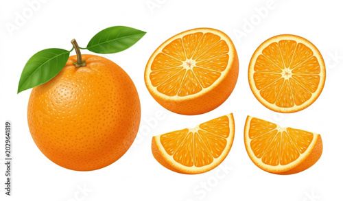 Konstfotografi Orange whole and sliced citrus fruit vector set with realistic fresh illustratio