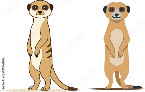 Cute cartoon meerkat standing upright