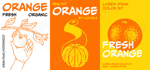 Foto Set of Fresh Orange Fruit Posters Featuring Vintage Retro Hand Drawn Line Art Il