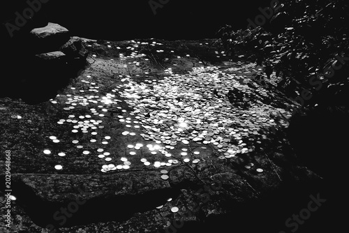 Tableau sur toile 自然光が差し込む岩の上でキラリと輝く無数の硬貨