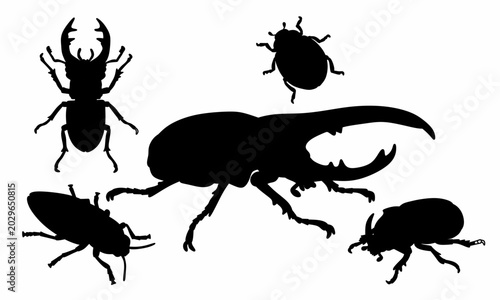Εκτύπωση καμβά Black silhouettes of various beetles, including a large Hercules beetle, stag beetle, ladybug, and others, isolated on a clean white background