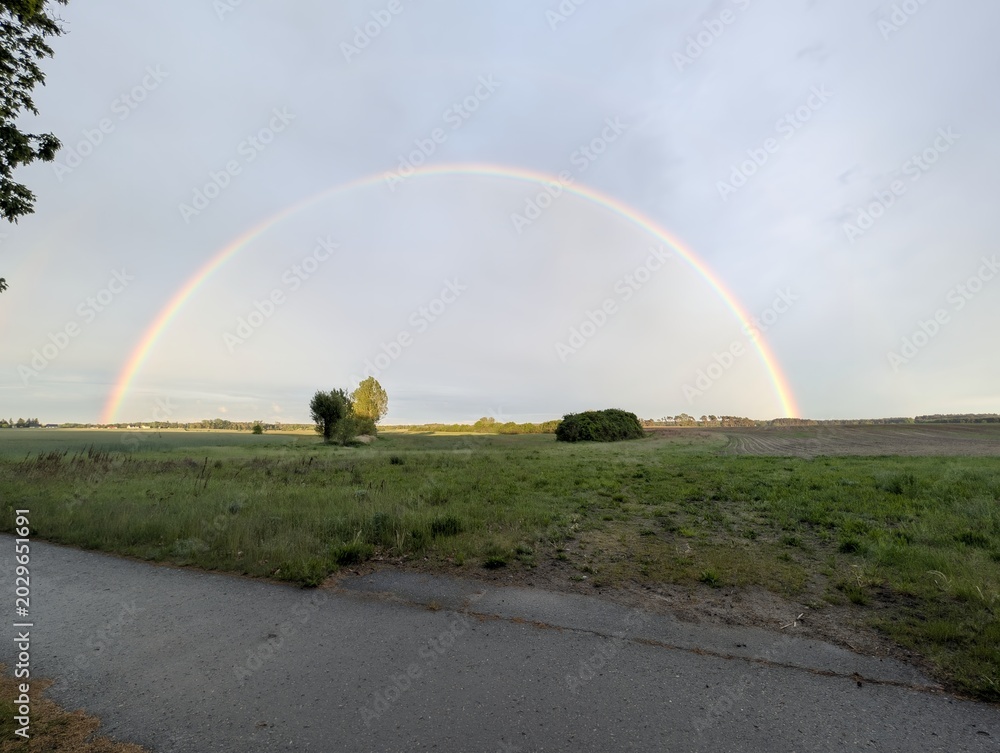 Fototapeta premium A beautiful full rainbow arching across a cloudy sky over a green field with a path in the foreground