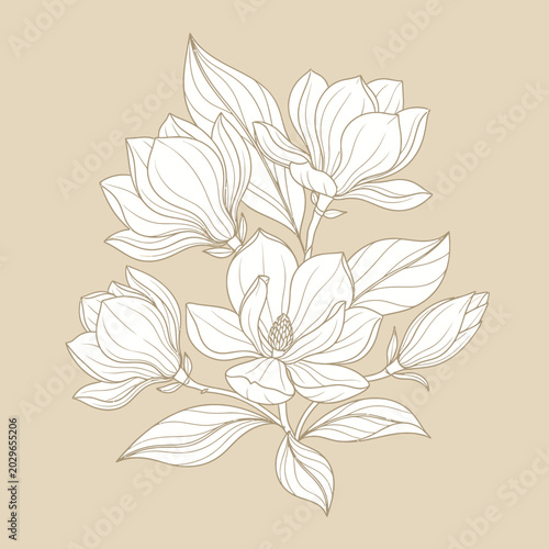 Elegant Magnolia Flower Botanical Line Art Illustration with Leaves on Beige Background