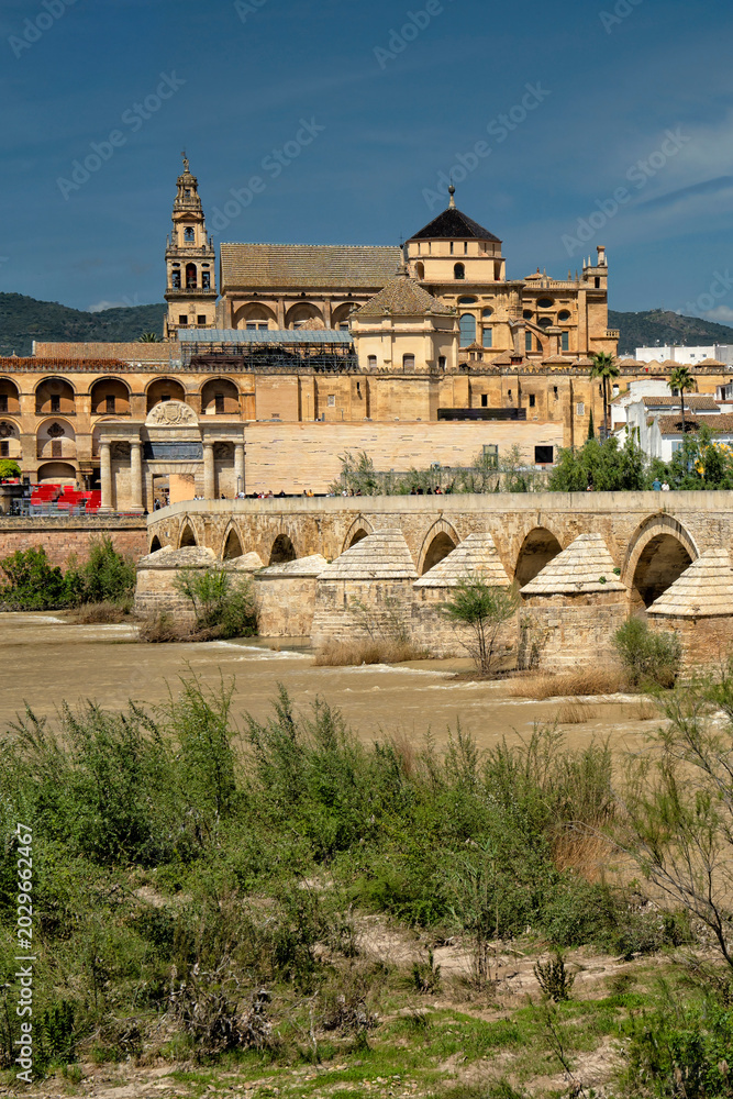 Fototapeta premium Spain. Cordoba. Roman bridge. Mezquita and Alcazar 