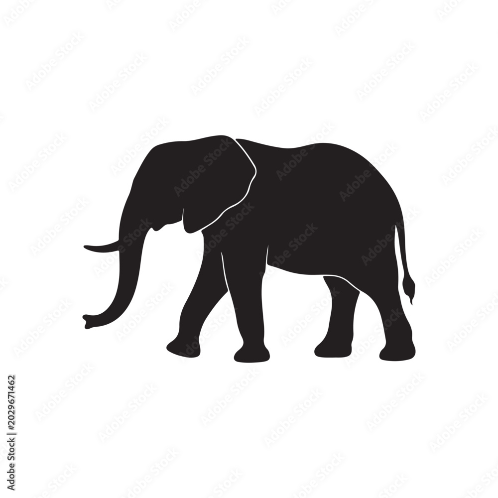 Fototapeta premium Black elephant silhouette walking side view on white background animal d