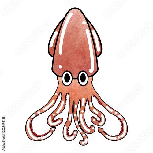 Cute squid character  watercolor sea creature illustration